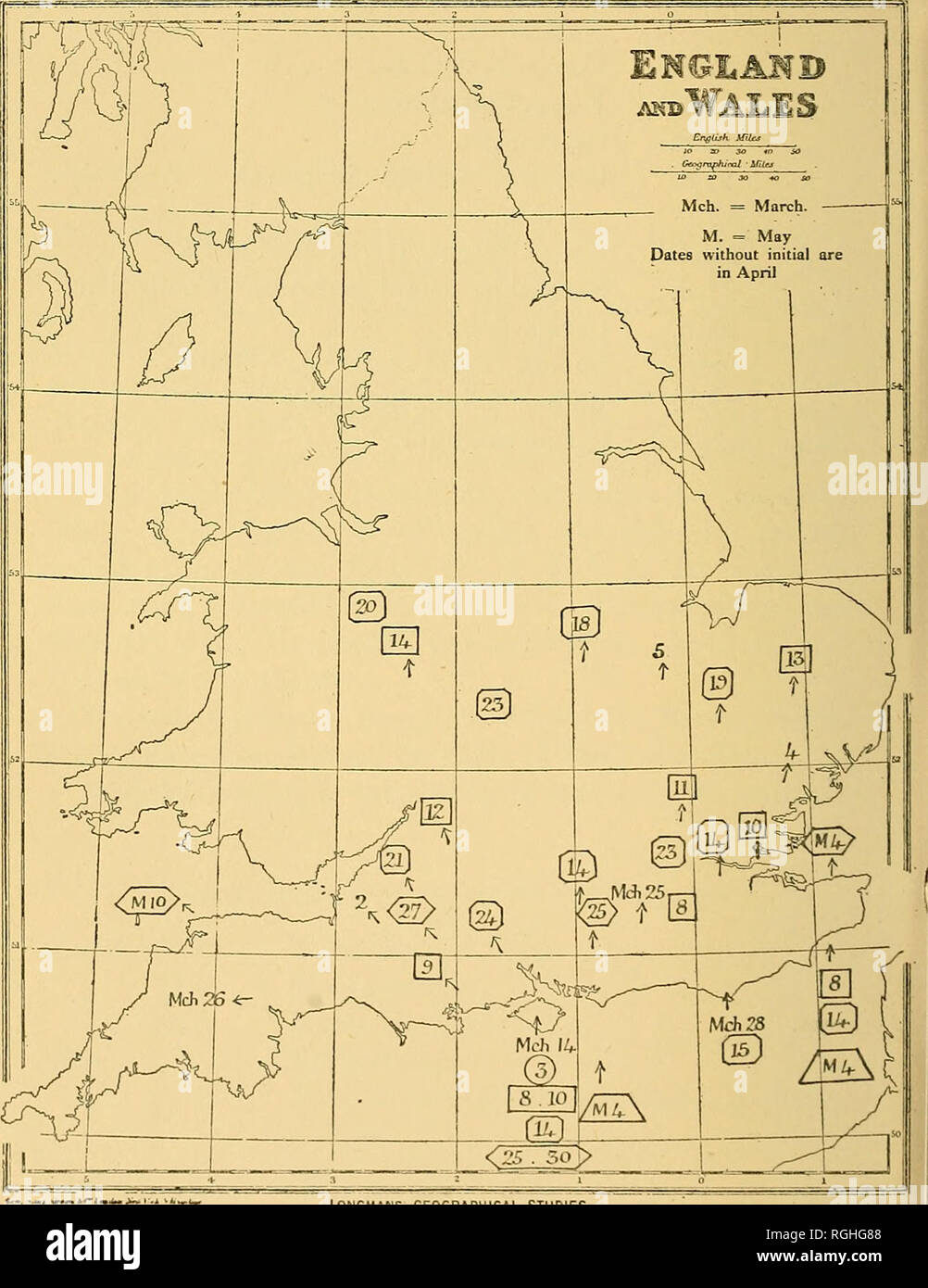 . Bulletin der British Ornithologists' Club. Vögel. 140 WENDEHALS.. LONGMANS geographische Studien. Bitte beachten Sie, dass diese Bilder sind von der gescannten Seite Bilder, die digital für die Lesbarkeit verbessert haben mögen - Färbung und Aussehen dieser Abbildungen können nicht perfekt dem Original ähneln. extrahiert. British Ornithologists' Club. London: Der Club Stockfoto