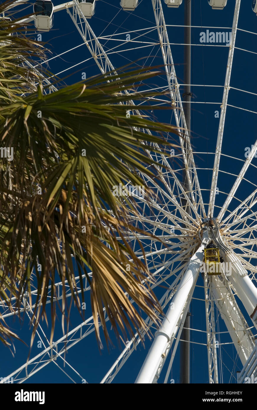Arbeiter auf Gerüst hängenden führt das Skywheel Wartung in Myrtle Beach, South Carolina USA Stockfoto