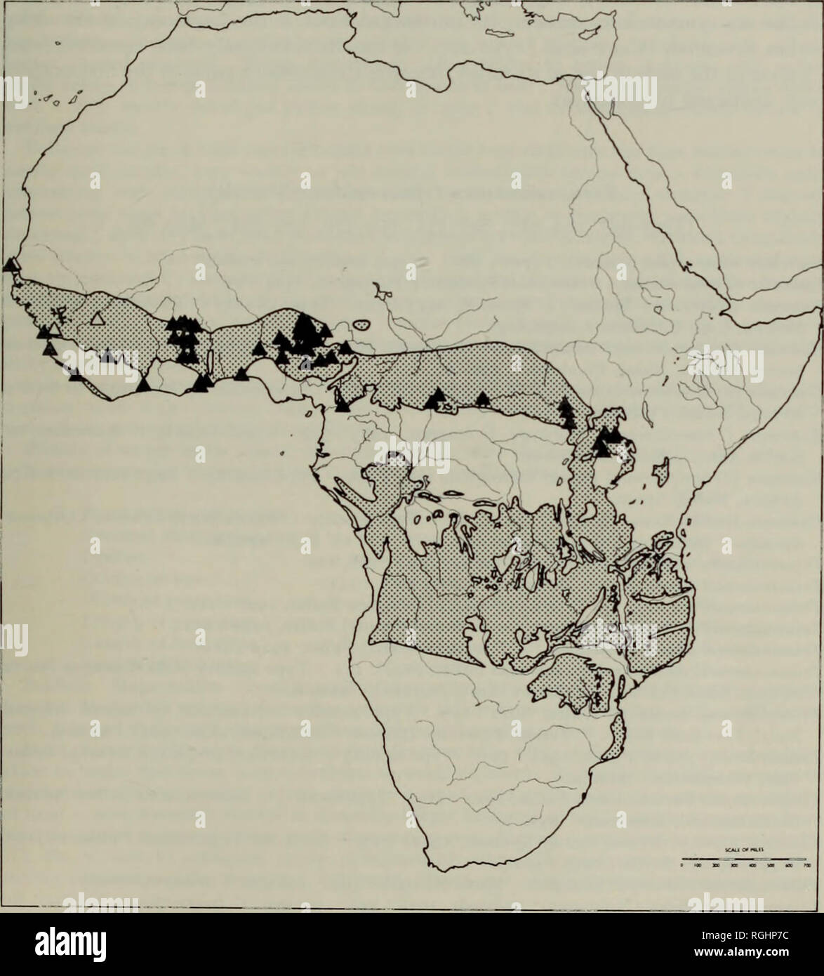 . Bulletin des British Museum (Natural History) Sdgg Supp. äthiopische NASUTITERMITIN VE 131 Zentralafrikanische Republik: Bangui, 1948 (A. E. Emerson), Bangassou, iii 1948 (N. A. Weber), A.M.N.H. Kongo: Faradje, 1912 (H. Lang, J. S. Chapin), A.M.N.H. ; Garamba Nat. Park, 30. vii. 1952 (H. deSaeger), Inst, des Pares Nat. du Congo, Brüssel. Uganda: Ngotokwe, Lango, iii 1942 und Serere, x.1948 (W. V. Harris); Lale,. Karte 28. Trinervitermes trinervhis. Vegetation Typen: 8, 16, und 17.. Bitte beachten Sie, dass diese Bilder extrahiert werden aus der gescannten Seite Bilder, die digital für erhöht worden sein Stockfoto