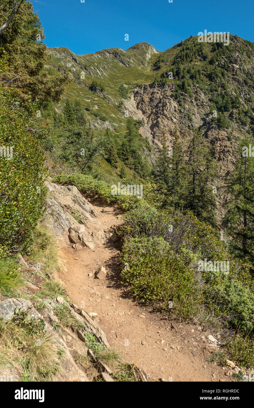 Gut genutzt Wanderweg führt bis zu Aiguillette Les Houches entlang Classic Tour du Mont Blanc Route in der Nähe von Chamonix, Frankreich Stockfoto