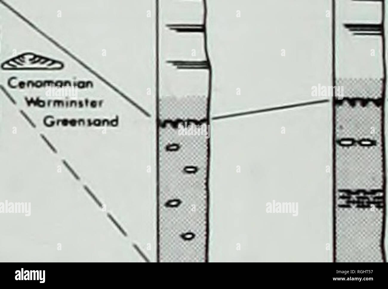 . Bulletin des British Museum (Natural History), Geologie. Cenoman- W^• f^/y^'^" -----?-------! V-J xi/. Abb. 21 Die Korrelation der mittleren Kreidezeit von Devizes (Wiltshire) zu Buckland Newton (Dorset). Obwohl seine Fauna kann von der berühmten 'coprolite Bed' gesammelt werden. Die Beziehung zwischen einem Abwesenden dispar Zone und einem darüberliegenden Bett mit Dispar faunal Elemente ist in dem Bereich auf der SW-Provinz diskutiert. Die anderen charakteristischen Merkmal der Anglian Trog ist die Anwesenheit des Totternhoe Stein (Chilton Stein, Burwell Rock) unmittelbar unterhalb der Mitte der Cenoman- nicht-Sequenz. Stockfoto