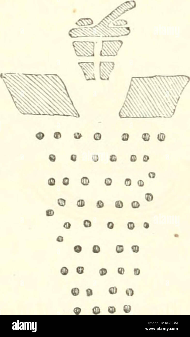 . Bulletin der Büffel Gesellschaft der Naturwissenschaften. Natürliche Geschichte; Wissenschaft. 174 Partitionen, die conyenience des buiklers anzupassen, das Ganze eine Reihe von sehr komfortablen Zimmer oder Häuser gebildet. An einigen Punkten, an denen die oberen Felsen nicht ziemlich weit genug für ein Dach Projekt, ein offener Balkon war. Die Wände der Häuser - Die natürliche Felsen - hatte sie viele Gruppen von Hieroglyphen; und weiter entlang, wo es kein Dach-Rock, die vertikalen Flächen hatte mit scheinbaren großer Sorgfalt eingeschrieben worden. Einige der geschützten Gruppen wurden in verschiedenen matte Farben gemalt, aber die meisten von t Stockfoto