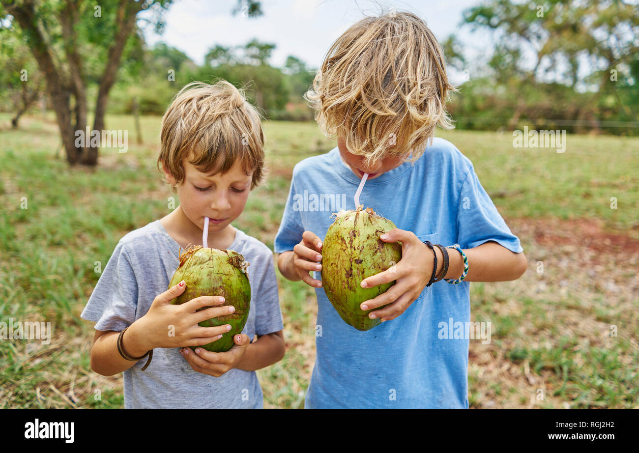 Brasilien, Bonito, zwei Jungen trinken aus Kokosnuss mit Strohhalm Stockfoto