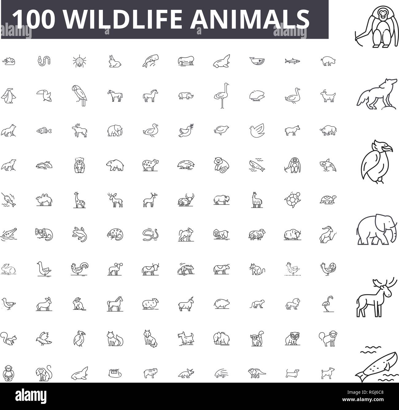 Wildtiere bearbeitbare Zeile Icons, 100 Vector eingestellt, Sammlung. Wildtiere, schwarzer Outline Abbildungen, Zeichen, Symbole Stock Vektor