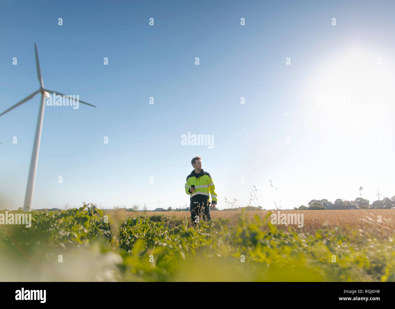 Ingenieur steht ein Feld an einem Windpark Stockfoto