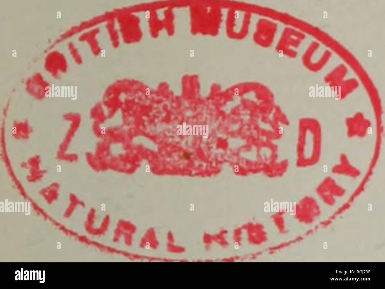 . Bulletin der British Ornithologists' Club. 1963 21 Vol. 83 BULLETIN DER BRITISH ORNITHOLOGISTS' Club. Band 83 Nummer 2 Veröffentlicht: 8. Februar 1963 Die sechshundert und das vierte Treffen des Club wurde auf der Rem-statt-Brandt-Hotel, London, am 15. Januar, 1963. Vorsitzender: Herr R. S.R. Fitter Mitglieder anwesend: 16; 3; Gesamt 19. Dr. D. Summers-Smith gab eine gut illustrierte Adresse auf der Haussperling Es postuliert wird, dass die paläarktis Spatzen (Gattung Passer) von einer angestammten sparrow Ausbreitung von tropischen Afrika auf dem Nil Tal in den Mittelmeerraum entwickelt. Einige Stockfoto