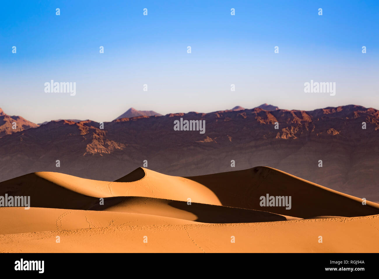 USA, Californien, Death Valley, Death Valley National Park, Mesquite flachen Sand Dünen Stockfoto