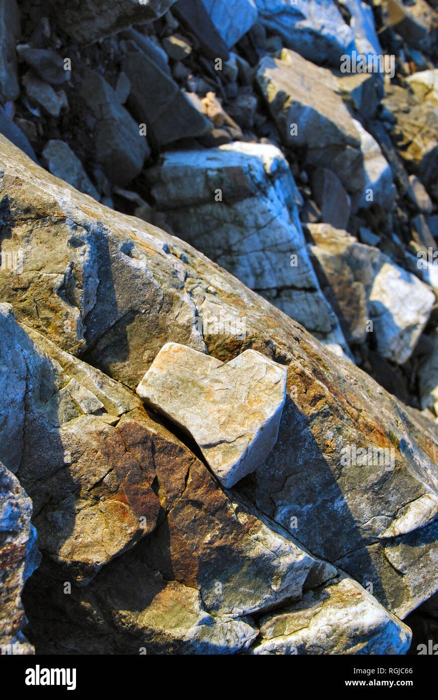 Nahaufnahme von einem grau-gelb herzförmigen Stein am Meer Steine, mit hellen Nachmittag Licht und kalten, blauen Schatten im Hintergrund, in Gaspesie, QC Stockfoto