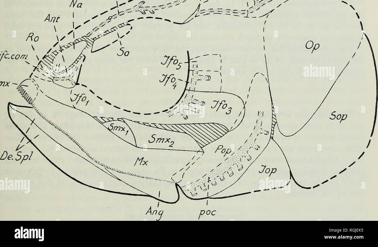 Ae Ro Stockfotos Und Bilder Kaufen Alamy