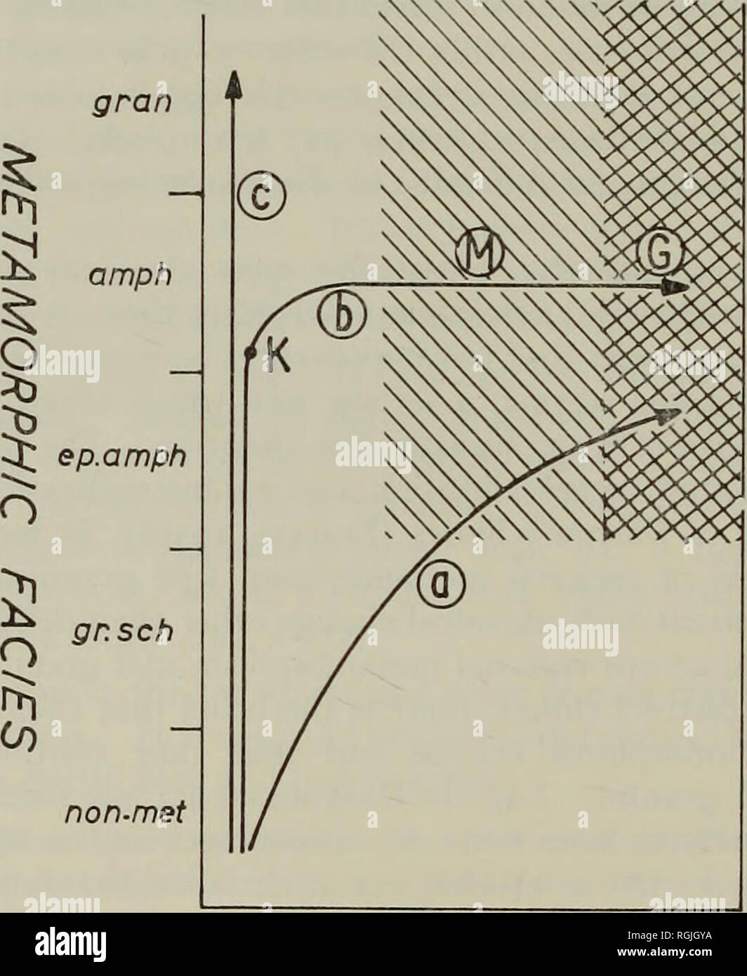 . Bulletin des British Museum (Natural History), Mineralogie. 176 WEITERE PETROLOGISCHEN UNTERSUCHUNGEN chemische Übergang zu Granit nicht erhalten. Man darf nicht unangemessen in Frage Lapadu-Hargues" Methoden der Probenahme. Bloße Prüfung der Namen seiner Gruppen zeigt, dass sie lieber direkt Trend zu Granit. Sein Objekt scheint eine Demonstration, dass isochemical allochemical Metamorphose Metamorphose in regionalen Terrains überschreitet, aber isochemical Schneemetamorphose pelitic Rock ist ausdrücklich von seine Gruppen V, VI und VII gesperrt Aber seine Alkali/Aluminiumoxid Grundstück (1945, Abb. 1) Zeigen Stockfoto