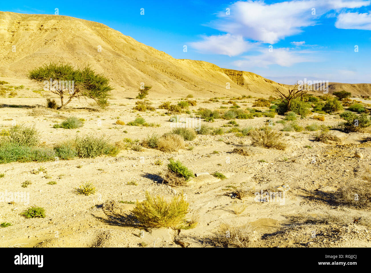 Wüste Landschaft im nördlichen Teil des Arava, südlichen Israel  Stockfotografie - Alamy