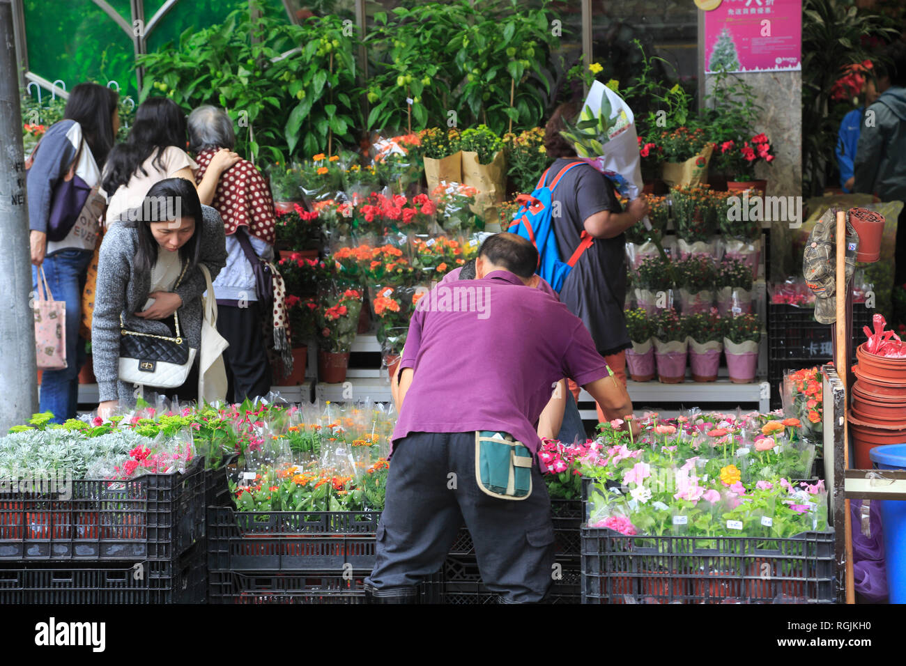Flower Market Road, Mong Kok oder Mongkok, Kowloon, Hong Kong, China, Asien Stockfoto