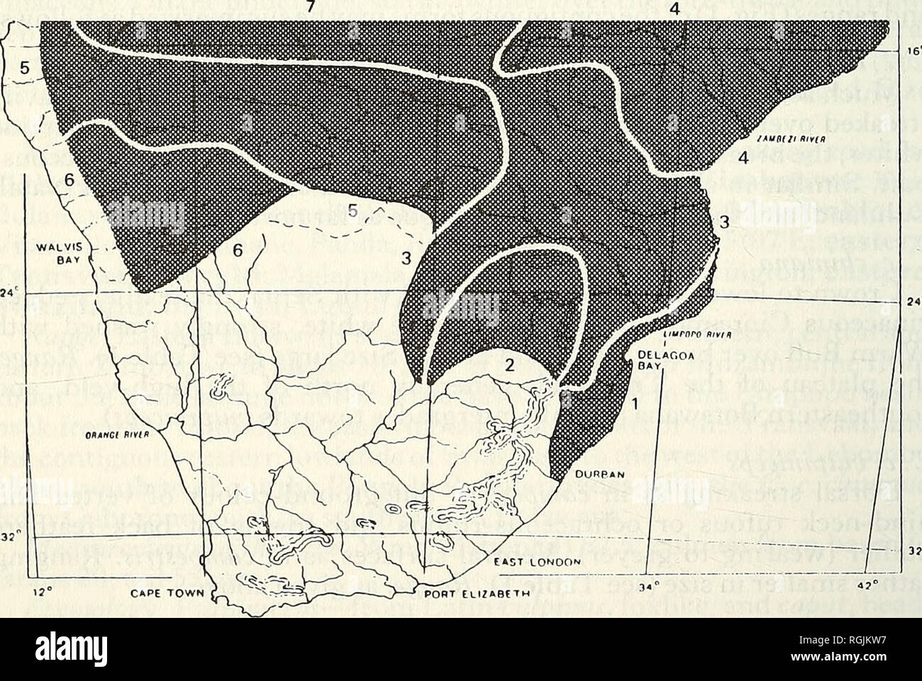 . Bulletin der British Ornithologists' Club. Vögel. S. A. Clancey 224 Bull. B.O.C. 1992 112 (4) Tabelle 1 Flügel und Schwanz - Längen der vier Unterarten von Cisticola chiniana in der östlichen Hälfte des südlichen Afrika Unterarten^ Wing Schwanz (nicht-Zucht) (Süd nach Nord) n Bereich bedeutet, s.d. n Bereich bedeutet, s.d. campestris S3 12 63.5-70 58-68 65,5 2,5 6 61,3 3,6 99 13 50.5-56.5 52,7 1,8 11 44-53,5 48,0, 3,2 chiniana ss 21 63-70 66.0, 2.3 14 62.0 57.5-66, 52.5-56.5 2,6 99 10 54,5 1,2 7 53,0 1,4 vulpiniceps 50.5-54 S 3 12 61-67,5 64,1 2,4 12 53-62 57,8 2,9 9? 10 51-55 53,4 47-53 1,3 10 0,5 49,5 2,2 procerus Stockfoto