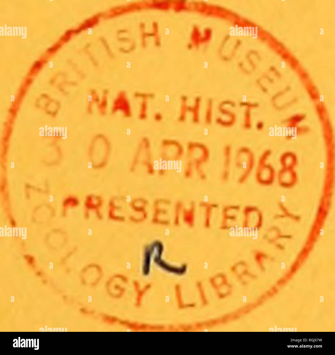 . Bulletin des British Museum (Natural History). Parasitäre NEMATODEN IN WESTERN AUSTRALIAN FRÖSCHE W. GRANT INGLIS. BULLETIN DES British Museum (Natural History) Zoologie Bd. i 6 Nr. 4 LONDON: 1968. Bitte beachten Sie, dass diese Bilder sind von der gescannten Seite Bilder, die digital für die Lesbarkeit verbessert haben mögen - Färbung und Aussehen dieser Abbildungen können nicht perfekt dem Original ähneln. extrahiert. British Museum (Natural History). London: BM (NH) Stockfoto