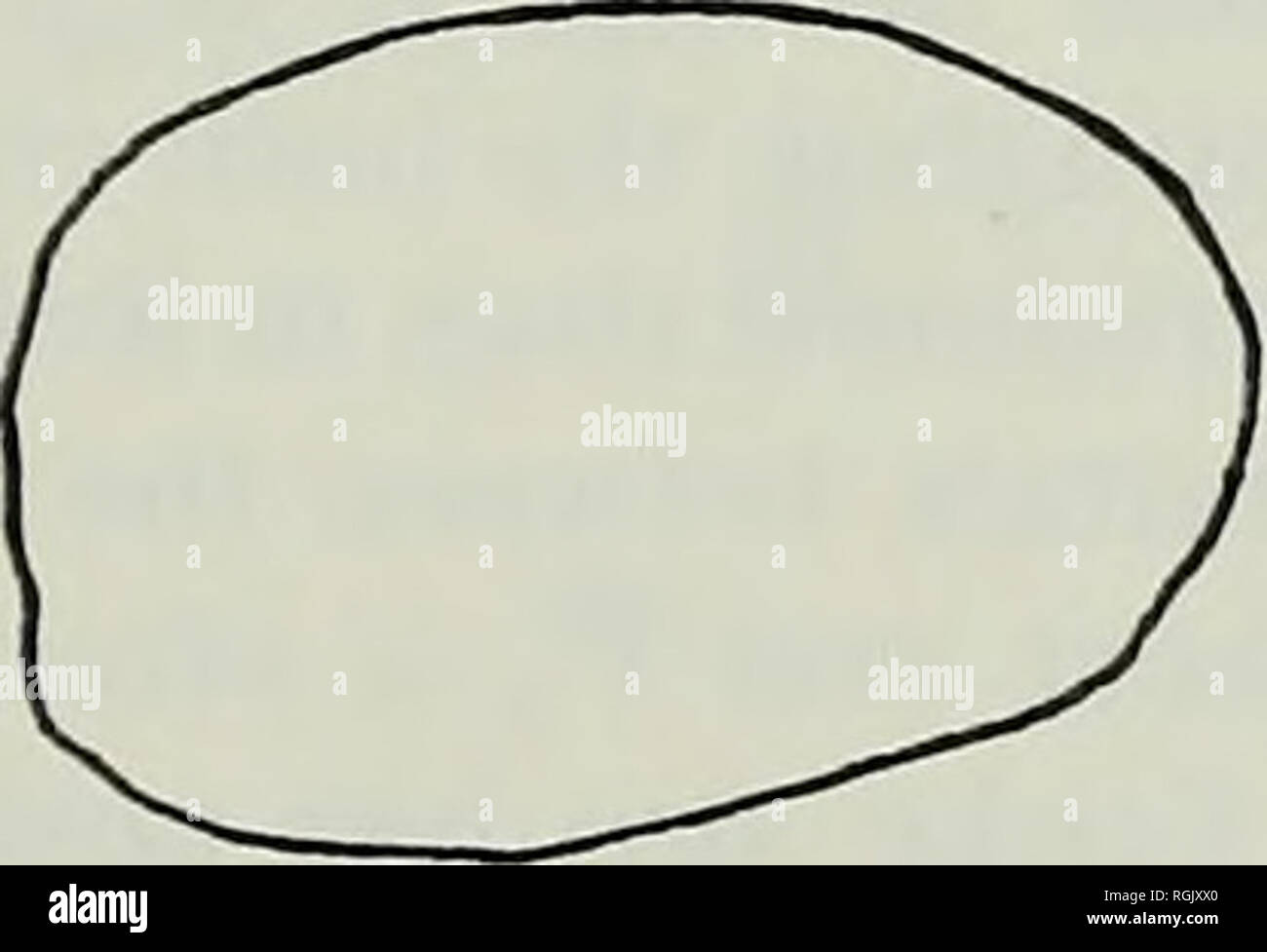 . Bulletin des British Museum (Natural History), Geologie. . Ich 960 FLKNI 1307 M. 22360 BEDI. Bitte beachten Sie, dass diese Bilder sind von der gescannten Seite Bilder, die digital für die Lesbarkeit verbessert haben mögen - Färbung und Aussehen dieser Abbildungen können nicht perfekt dem Original ähneln. extrahiert. British Museum (Natural History). London: BM (NH) Stockfoto