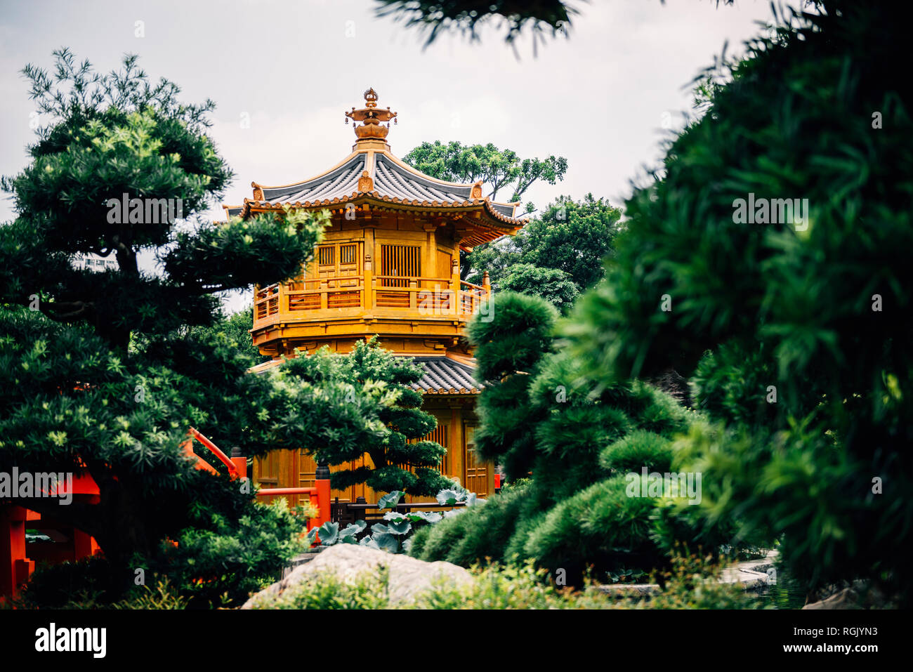 China, Hongkong, Diamond Hill, Nan Lian Garden, goldenen Pavillon der Absolute Perfektion Stockfoto