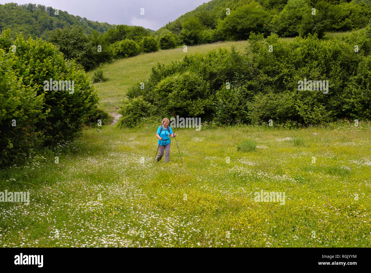 Albanien, Shkoder County, Albanischen Alpen, Theth Nationalpark, weibliche Wanderer zu Fuß über Blumenwiese Stockfoto