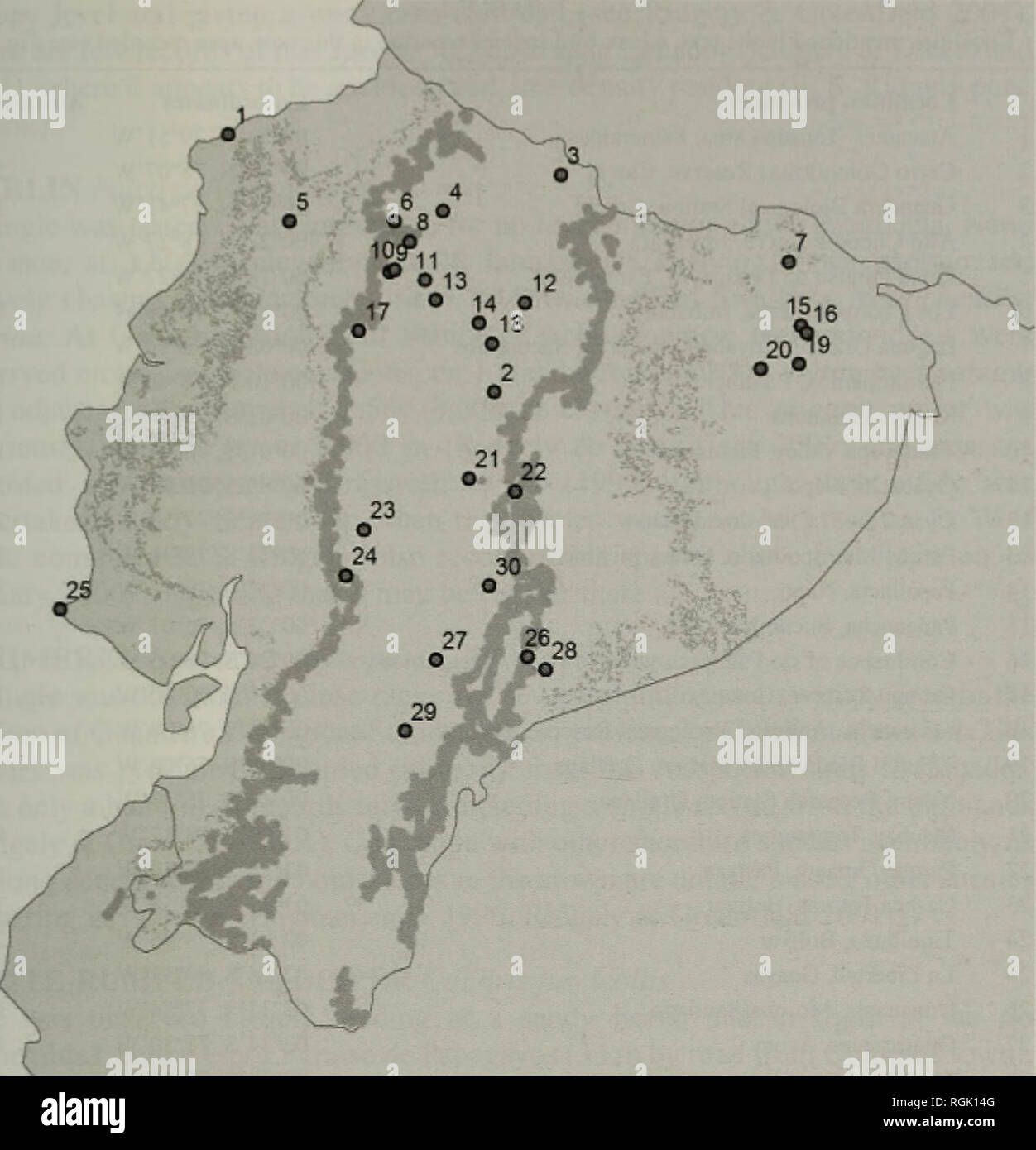 . Bulletin der British Ornithologists' Club. Vögel. Juan F. Freile L 89 Bull. B.O.C. 2004 124 (3). Abbildung 1. Karte von Ecuador mit den Studienzentren (Kreise und Zahlen). Die Nummern entsprechen denen in Tabelle 1 aufgeführt. Höhenlinien (300 m, dünne Linie) und 1000 m Höhe (Breite). Maßstab 1:4,000.000. Graue KITE Leptodon cayanensis einen Erwachsenen beobachtet wurde, Fliegen über einem Waldgebiet oberhalb Mindo, Provinz Pichincha, auf 1.500 m Höhe am 28. März 1998. Die zuvor in Ecuador bekannt bis zu 900 m in El Oro Provinz (Ridgely &Amp; Greenfield 2001). Kirwan &Amp; Marlow (1996) gemeldet Stockfoto
