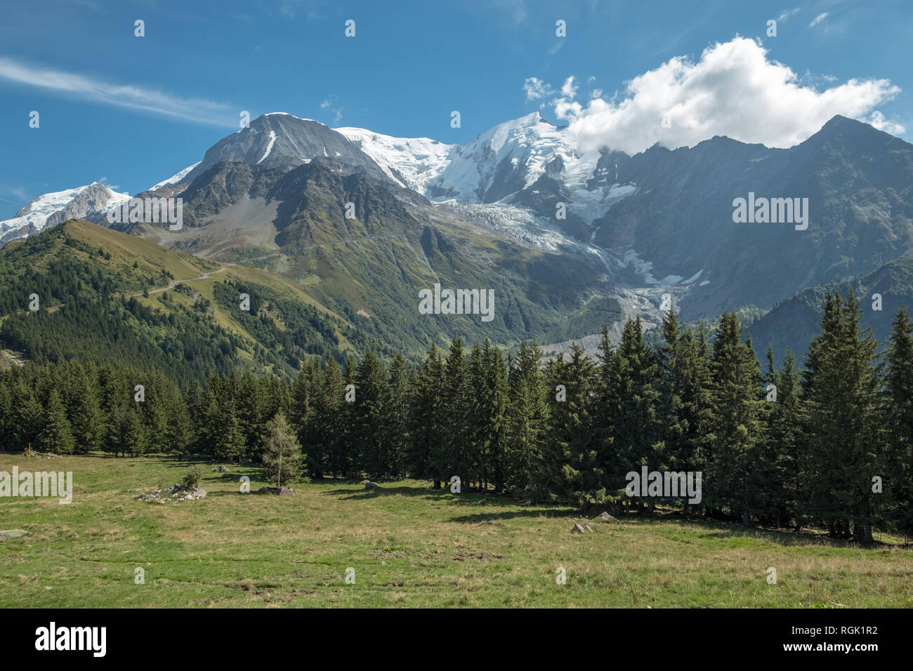 Blick auf den Mont Blanc Massiv, Gletschern und Wäldern mit Blick über grasartige Felder im Vordergrund. Stockfoto Blick auf den Mont Blanc Massiv, Gletschern und Wäldern mit Blick über grasartige Felder im Vordergrund. Stockfoto