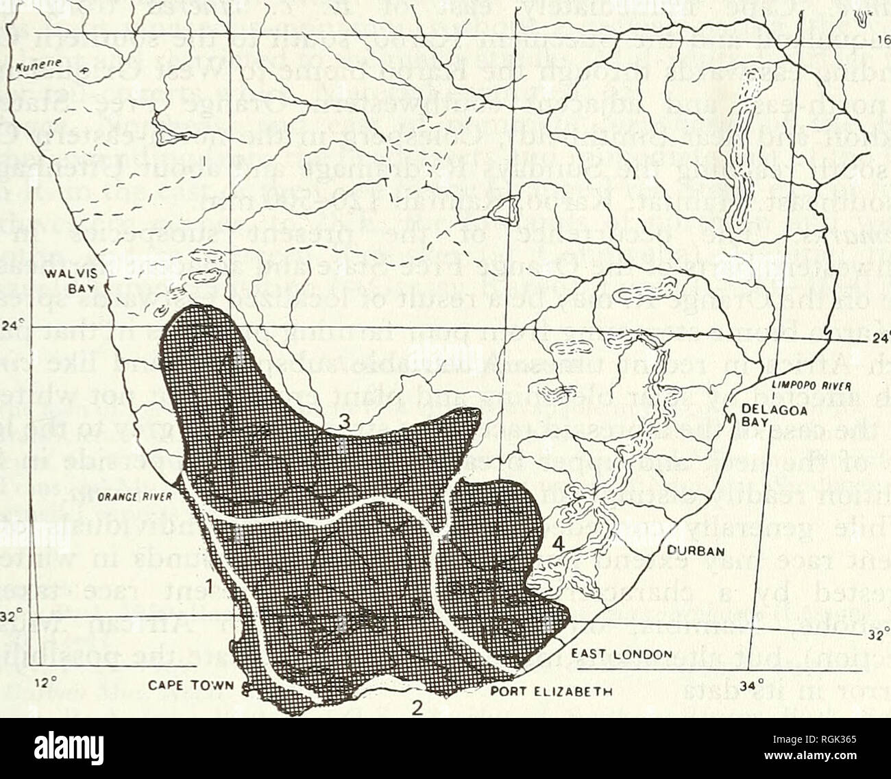 . Bulletin der British Ornithologists' Club. Vögel. S. A. Clancev 227 Bull. B.O.C. 1994 114 (4). Abbildung 1. Skizze - Karte der südlichen afrikanischen Subregion die Verteilung der Karoo Scrub-Robin und die Disposition der vier Unterarten: 1, Erythropygia coryphoeus cinerea; 2, E.C.; 3 coryphoeus abotti, E.C.; 4, E.C. eurina. Bereich. Erstreckt sich eng an der Küste von Südwesten Namibias und der Mündung des Orange R. Um die Inseln der Kleinen Namaqualand Cape Provinz, Südafrika zum Kap der Guten Hoffnung, von dort südöstlich von Cape Agulhas und die bredasdorp Bezirk. Intergrades ir Stockfoto