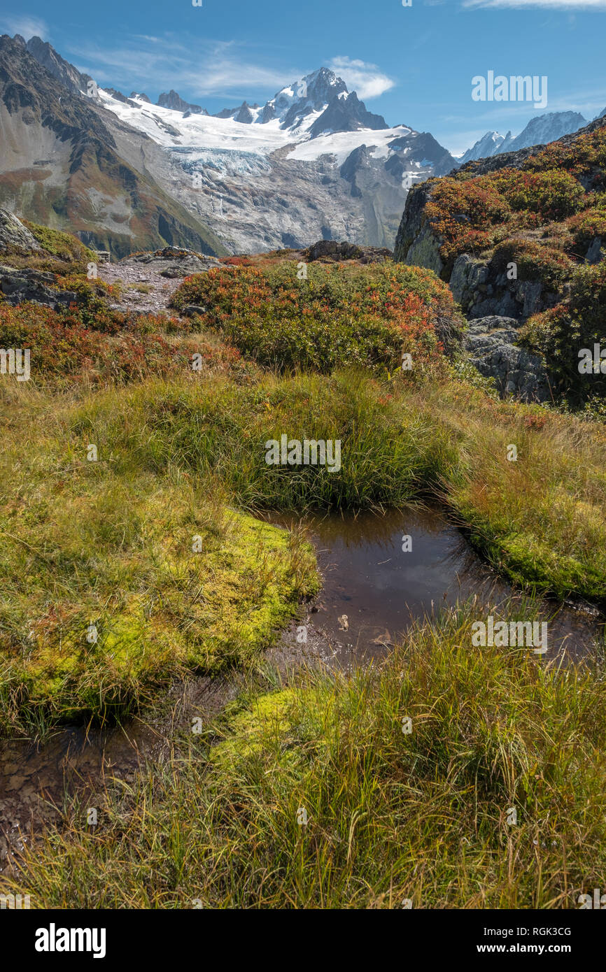Aiguille Verte von Aiguilette des Posettes Trail. Vordergrund von Bemoosten Creek mit Herbst Farbe ergänzt die zerklüfteten Berggipfel und weißen Gletschern Stockfoto