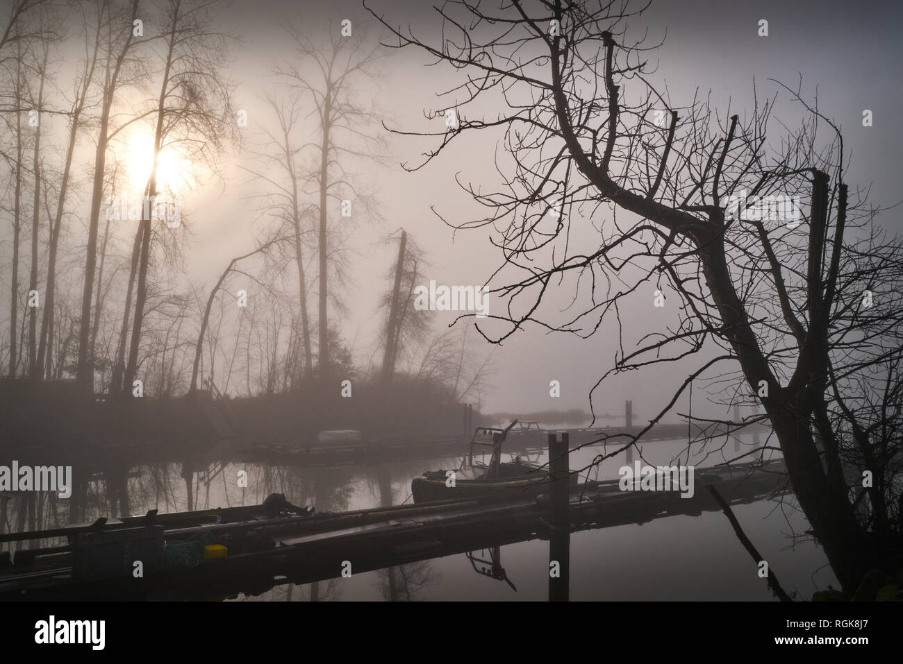 Finn Slough Nebel, British Columbia. Foggy Finn Slough am Ufer des Fraser River in der Nähe von Steveston in Richmond, British Columbia, Kanada. Stockfoto