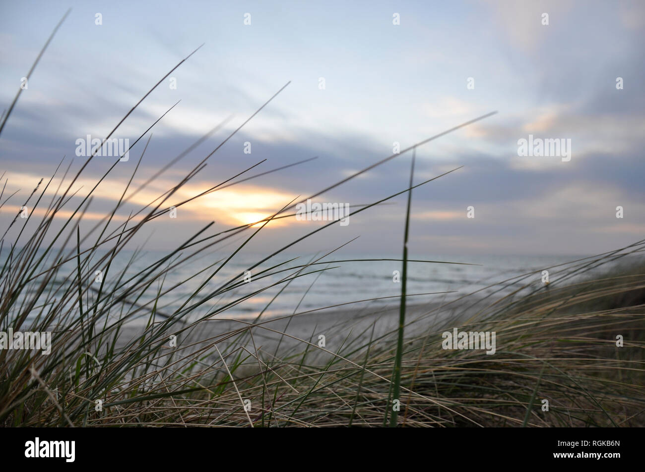 Grünland auf einer Düne mit dem Meer im Hintergrund von jziprian Stockfoto