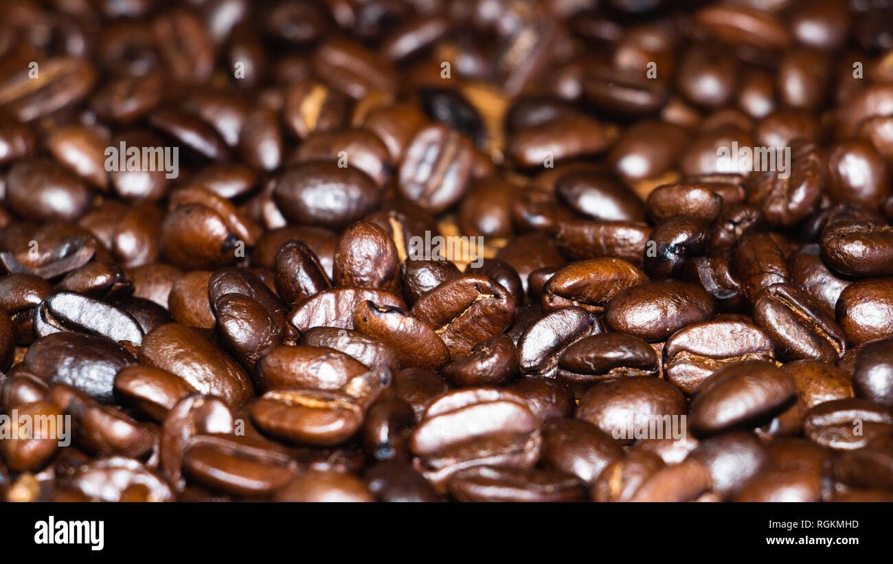 Dunkel geröstete Jamaican Blue Mountain Kaffee Bohnen. Aromatisch und ölig, reichen Geschmack von Schatten angebauten Kaffee. Nahaufnahme der Bohnen auf Holz verschüttet. Stockfoto