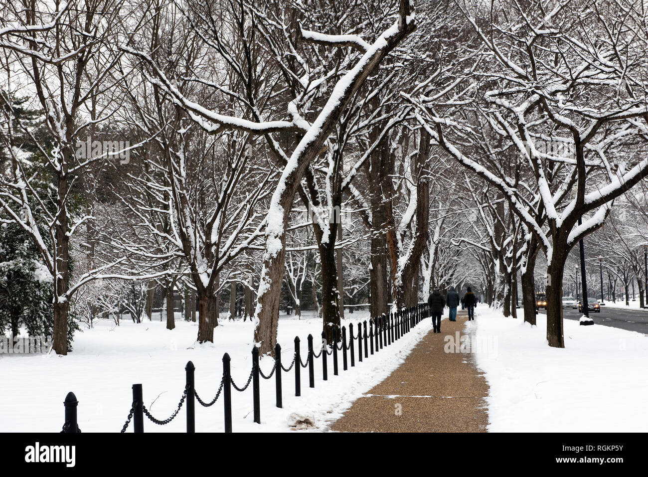 WASHINGTON, DC - frisch gefallener Schnee auf Bäumen, die einen Gehweg entlang des Lincoln Memorial Reflecting Pool in Washington DC säumen. Stockfoto