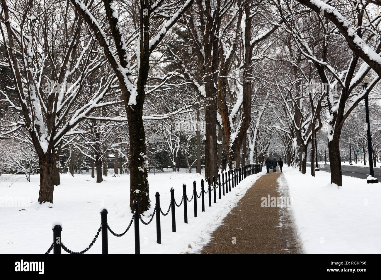 WASHINGTON, DC - frisch gefallener Schnee auf Bäumen, die einen Gehweg entlang des Lincoln Memorial Reflecting Pool in Washington DC säumen. Stockfoto