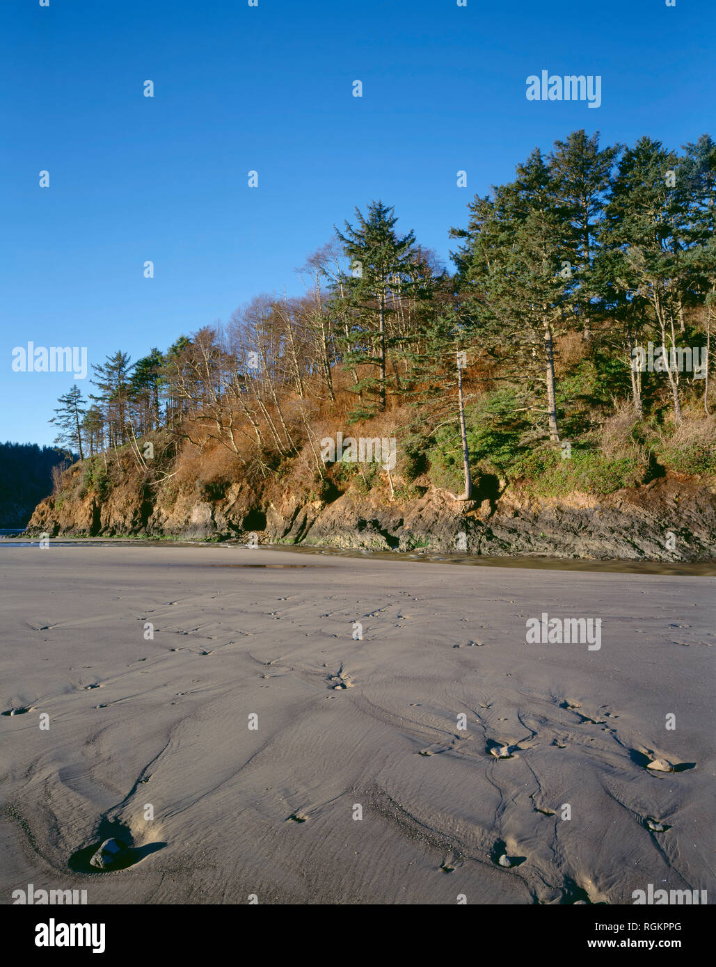 USA, Oregon, Neskowin Strand Wayside, Vorschlag Rock erhebt sich über gemusterte Strand sand. Stockfoto