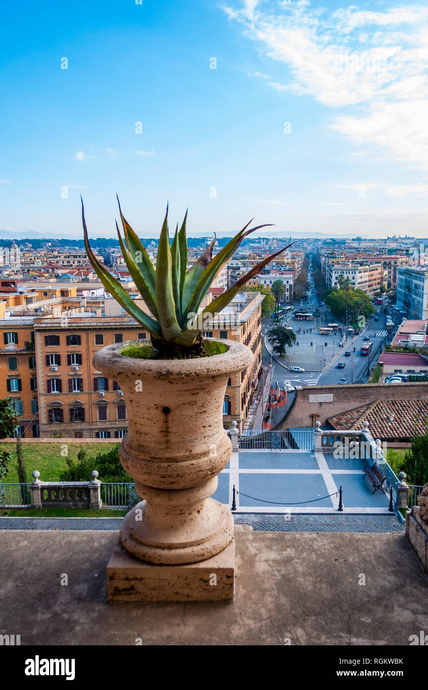 Aloe Vera Pflanze, die in einem grossen Topf stehend auf einem Balkon mit  atemberaubenden Blick auf Rom Stadtbild Stockfotografie - Alamy