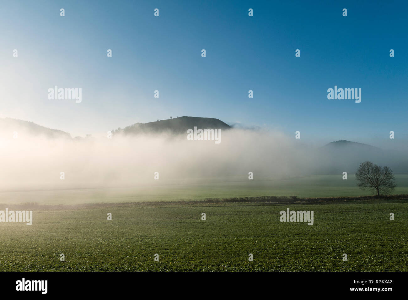 Herrock Hill (auf der Offa's Dyke Path in der Nähe von Kington, Herefordshire, UK) erhebt sich über dem Nebel an einem kalten Wintermorgen Stockfoto