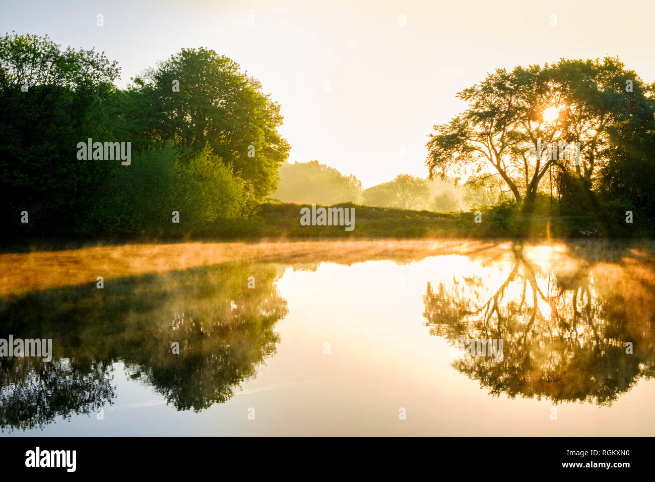 Fluss Szene im Frühjahr. Am frühen Morgen Sonne, Nebel und Flußufer Bäume auf dem Fluss Trent im Mai. Colwick Country Park, Nottinghamshire, England, Großbritannien Stockfoto