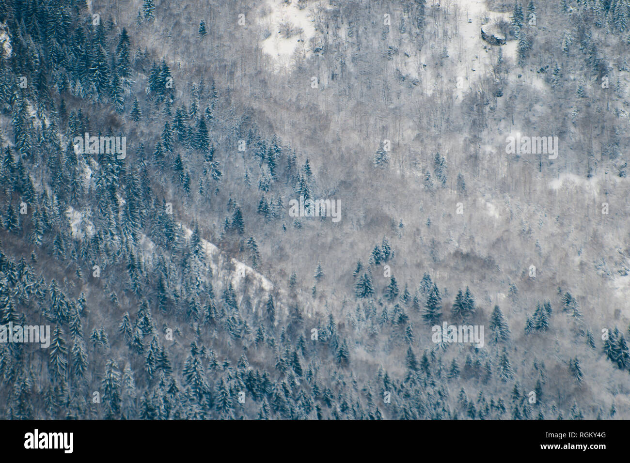 In den verschneiten kalten Winter, im Schnee Bäume wachsen auf steilen Berg, neben dem Toten im Morgen einfrieren Dampf. Weit geschossen, kontrastiert und textu Stockfoto