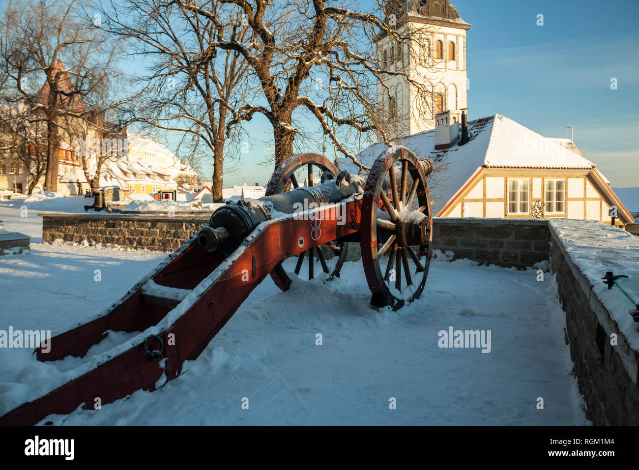 Winter morgen im Dänischen King's Garden in der Altstadt von Tallinn, Estland. Stockfoto