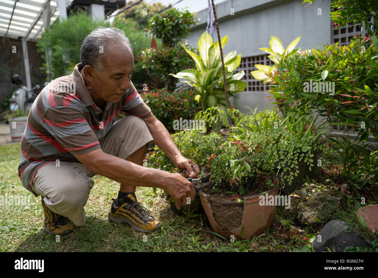 Altere Mannliche Asiatischen Garten Und Frasen Aus Blatt