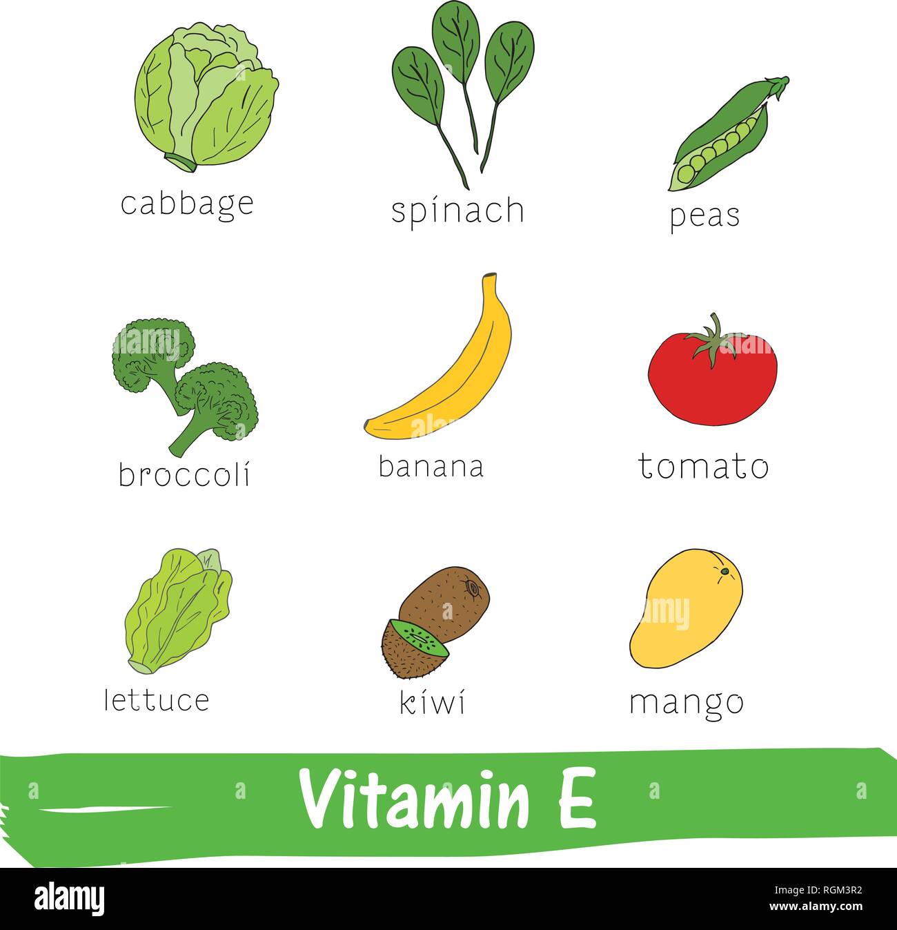 Obst und Gemüse mit einem hohen Gehalt an Vitamin E. Hand gezeichnet Vitamin einstellen Stock Vektor