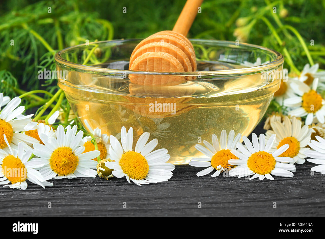 Frische Kamillenblüten und Honig in einem Glas Schüssel. Alternative Medizin Konzept auf einem schwarzen Holztisch (selektive Fokus). Stockfoto