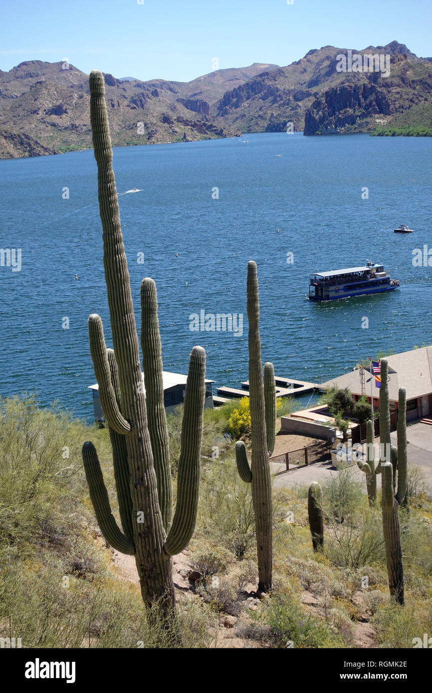 Ein Boot nimmt eine Gruppe von Touristen um Cactus Lake, Arizona. Stockfoto