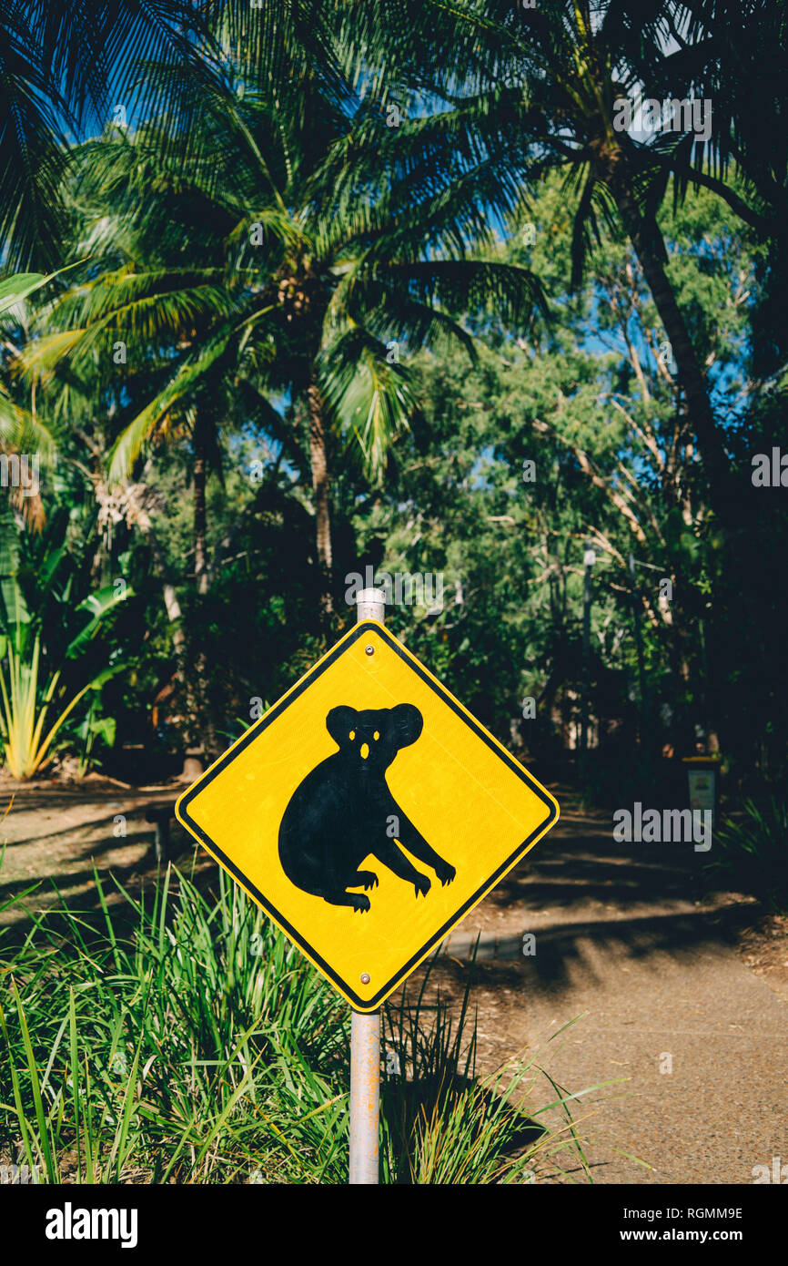 Australien, Magnetic Island, Koala Animal Crossing Sign Stockfoto