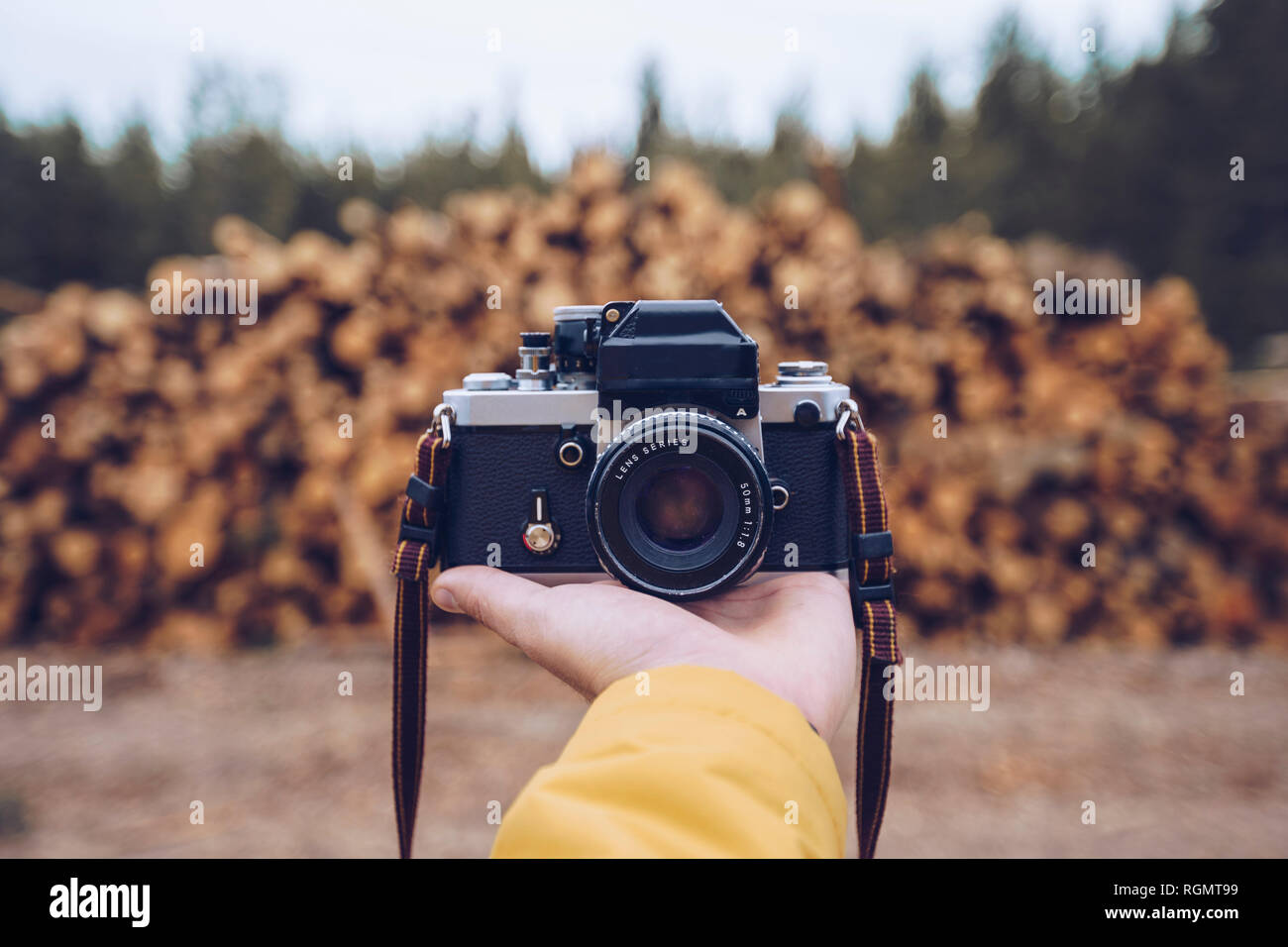 Hand, die eine Kamera vor einem Stapel Holz Stockfoto