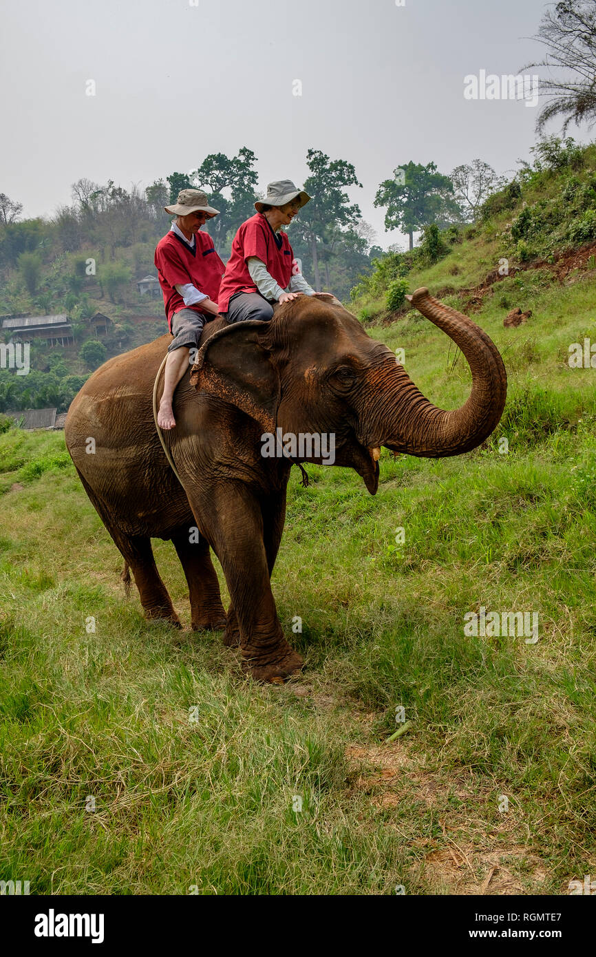 Thailand, Chiang Mai Provinz, lief Tong Elephant Sanctuary, Elephant Trekking Stockfoto