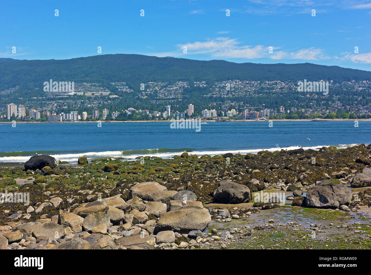 Felsen mit reichlich Nahrung für Vögel bei Ebbe und Vancouver suburban Panorama am Horizont. Sonnigen Sommermorgen auf einem Ufer des Stanley Parks mit seagu Stockfoto
