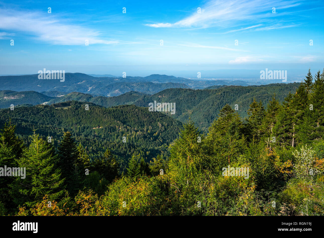 Blick auf die grünen Berge des Nördlichen Schwarzwald, Deutschland, Blick auf das Rheintal und die Vogesen im Staub Stockfoto