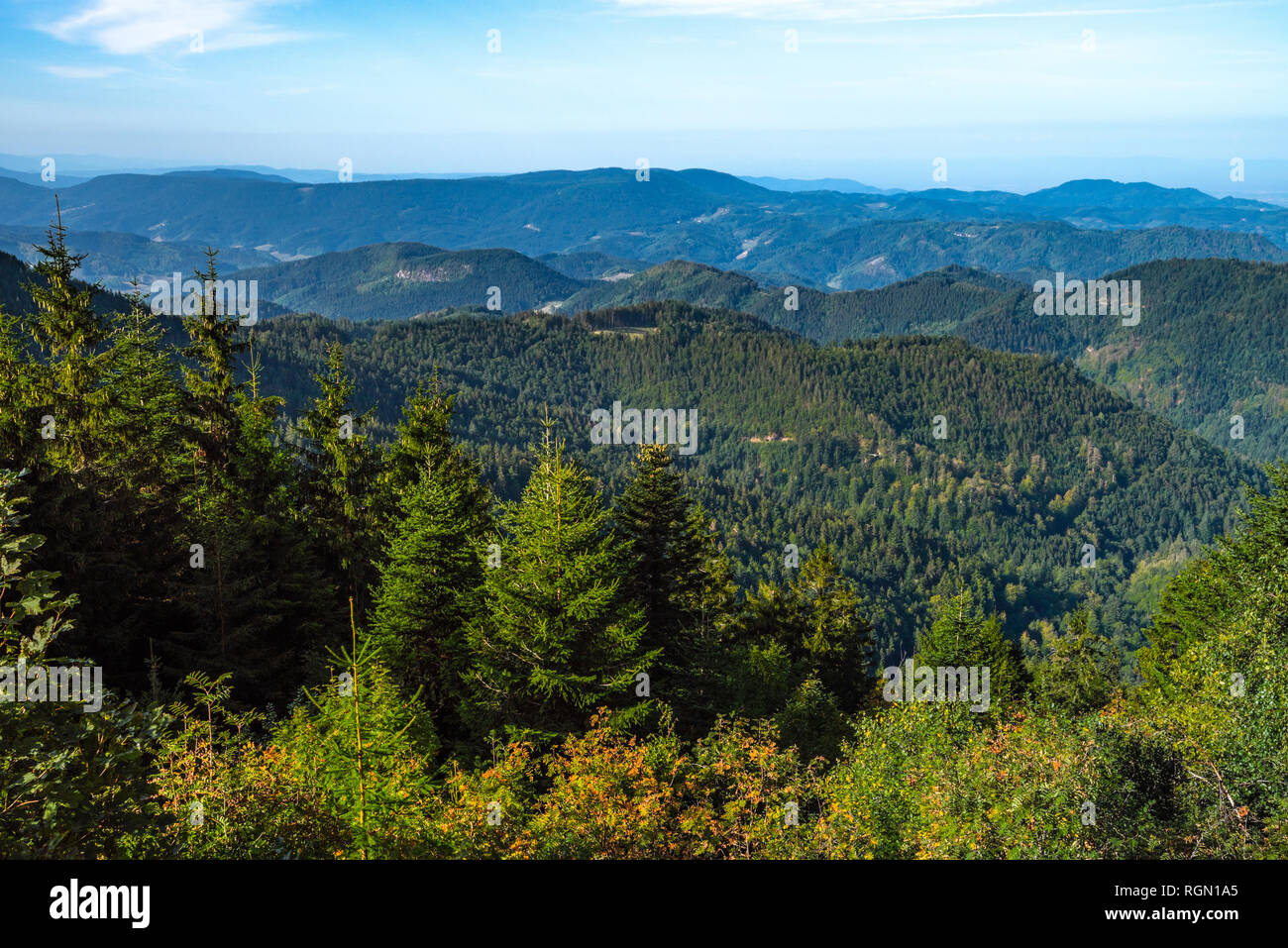 Blick auf die grünen Berge des Nördlichen Schwarzwald, Deutschland, Blick auf das Rheintal und die Vogesen im Staub Stockfoto