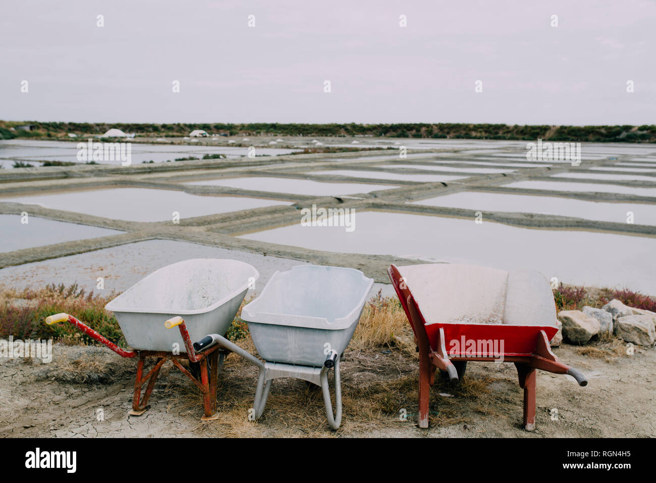 Frankreich, Bretagne, Guerande, Marais Salants de Guerande Stockfoto