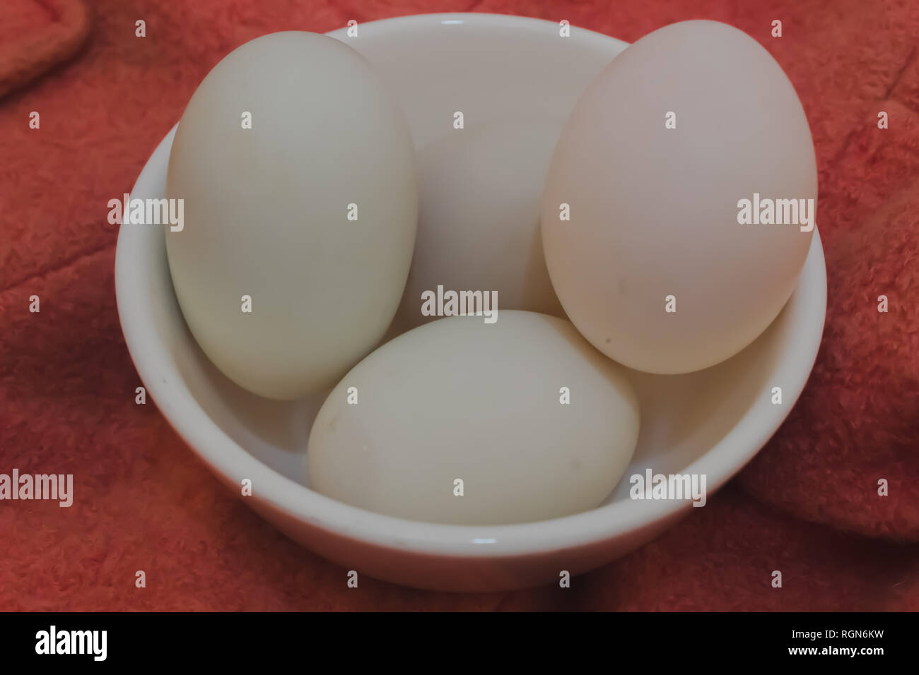 Vier weiße Eier Ente in Blasen close up Sack Hintergrund Stockfoto