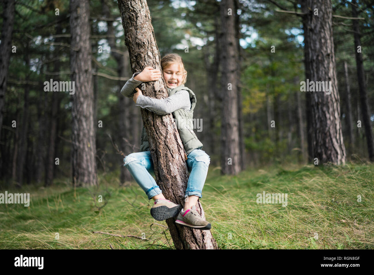 Mädchen umarmt einen Baum im Wald Stockfoto