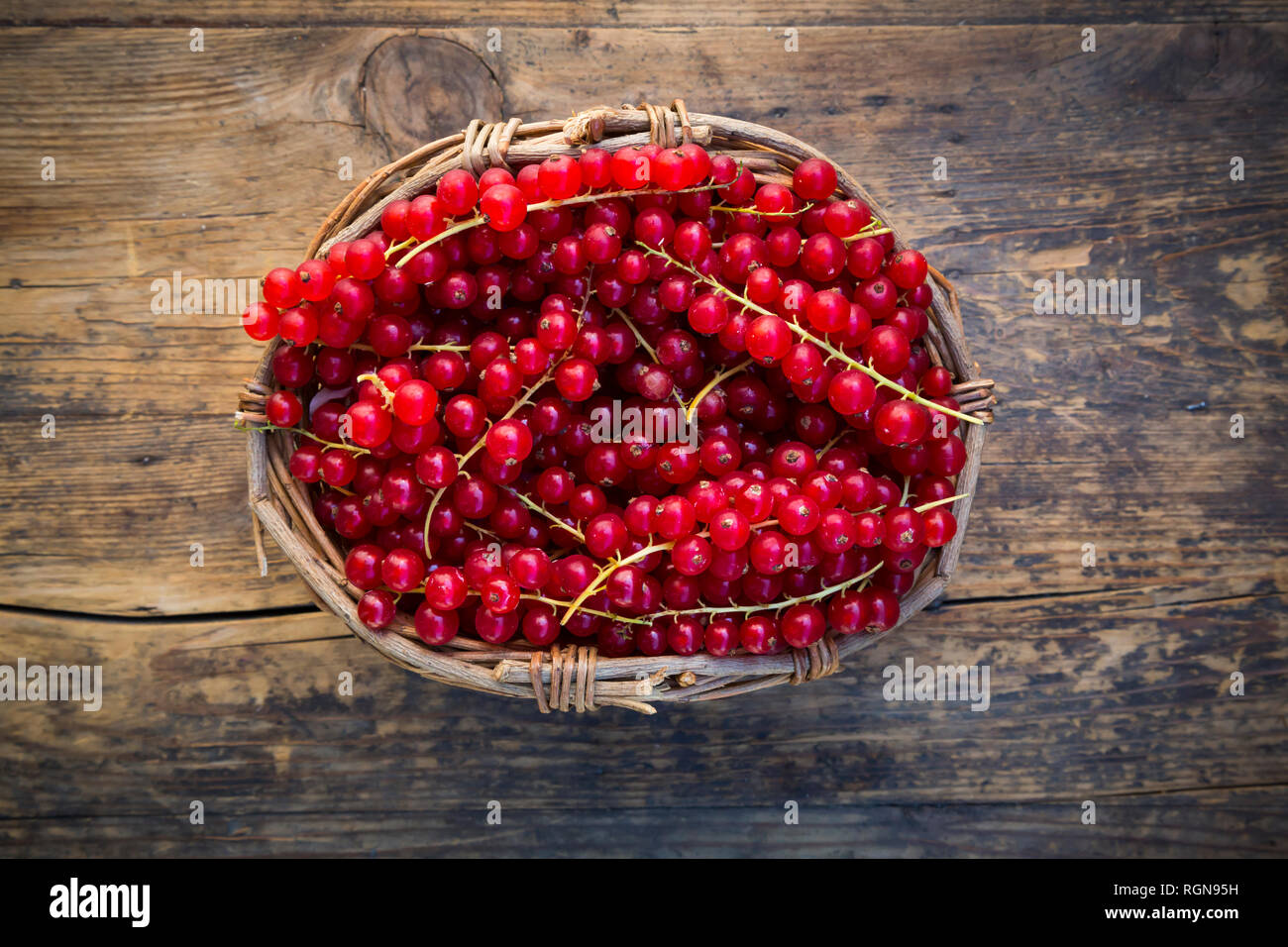 Rote Johannisbeeren im Warenkorb auf Holz Stockfoto